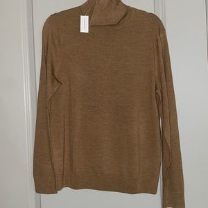 NWT Banana Republic Mens Italian Merino Turtleneck
